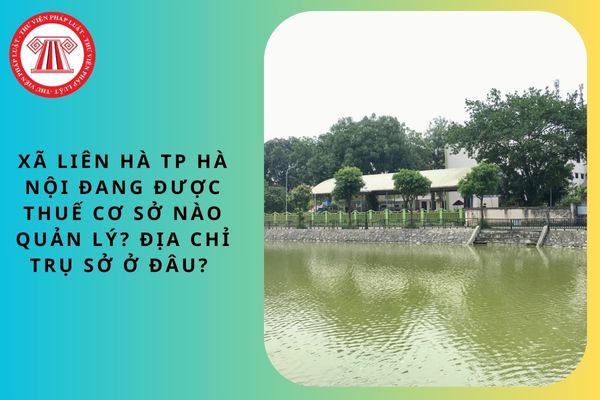 Pháp luật