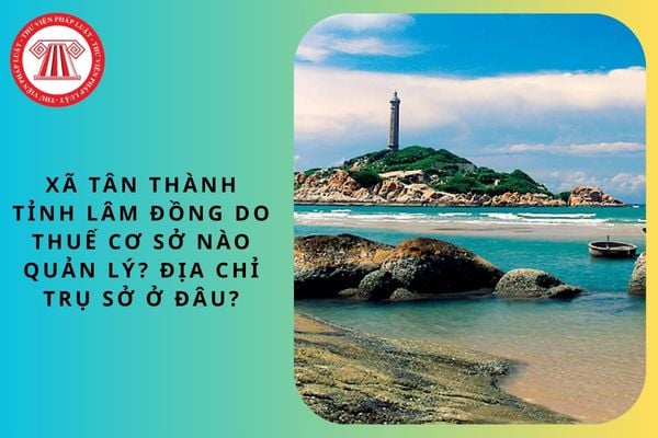 Pháp luật