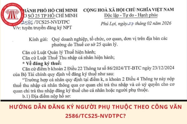 Pháp luật