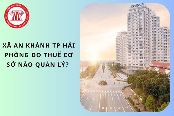 Pháp luật