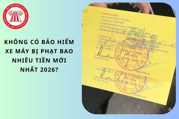 Pháp luật