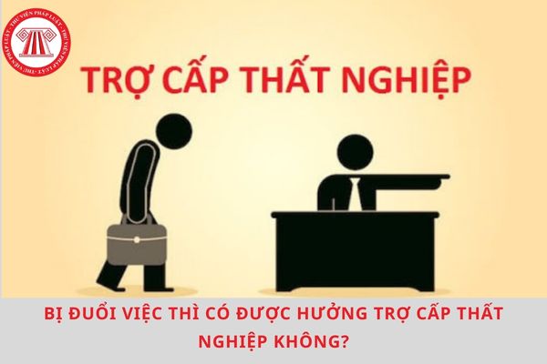 Pháp luật