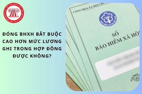 Pháp luật