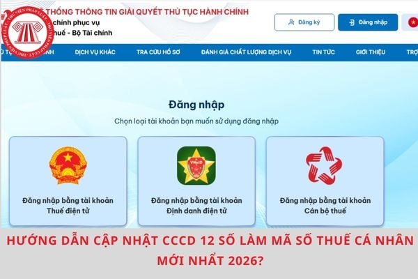 Pháp luật