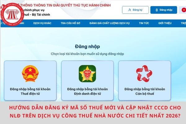 Pháp luật