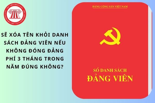Pháp luật