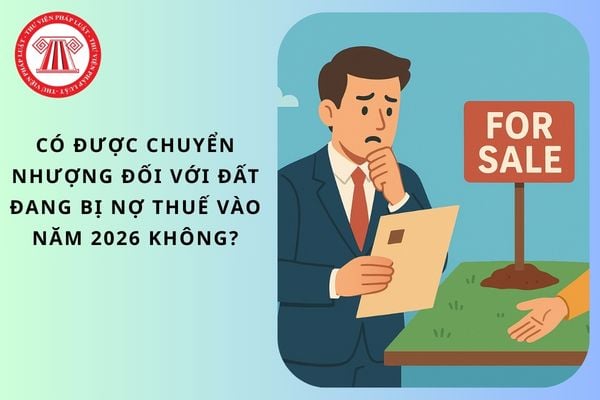 Pháp luật