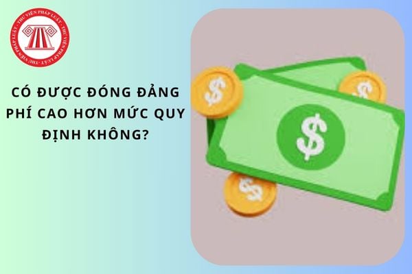 Pháp luật