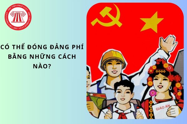 Pháp luật