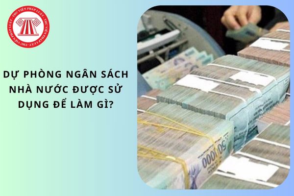 Pháp luật