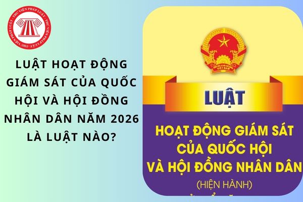 Pháp luật