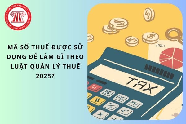 Mã số thuế được sử dụng để làm gì theo Luật Quản lý thuế 2025?