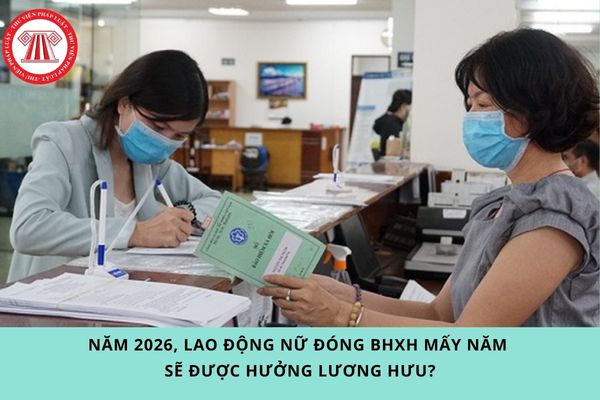 Pháp luật