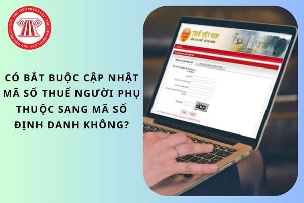 Có bắt buộc cập nhật mã số thuế người phụ thuộc sang mã số định danh không?