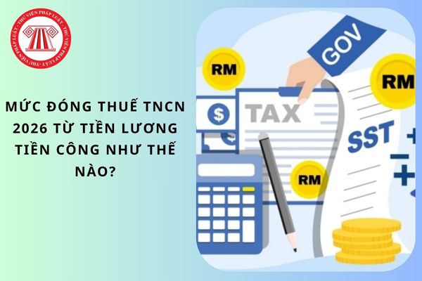 Pháp luật