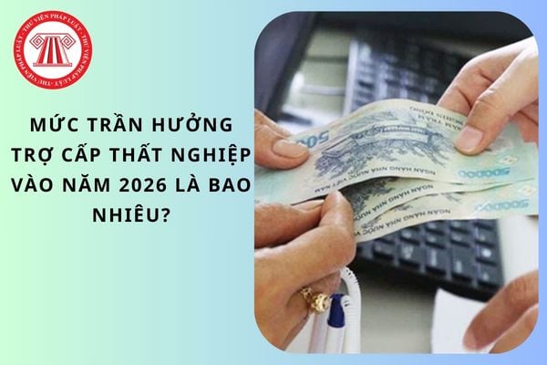 Pháp luật