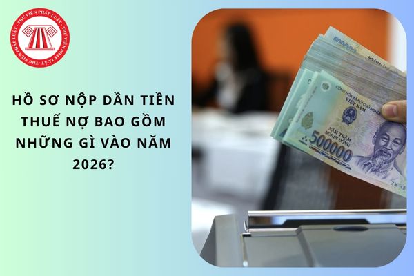 Pháp luật