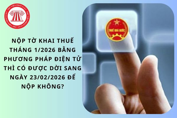 Pháp luật