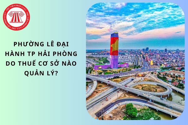 Pháp luật