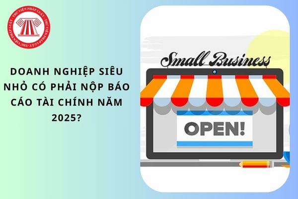 Doanh nghiệp siêu nhỏ có phải nộp báo cáo tài chính năm 2025?