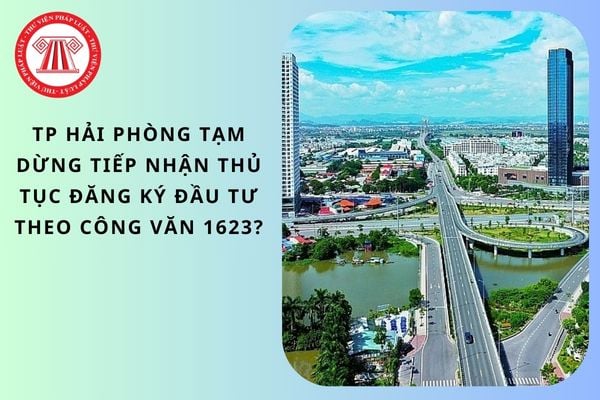 Pháp luật