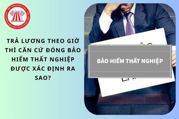 Pháp luật