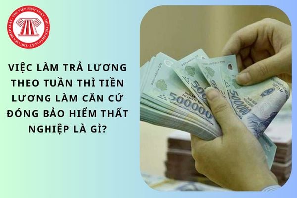 Pháp luật