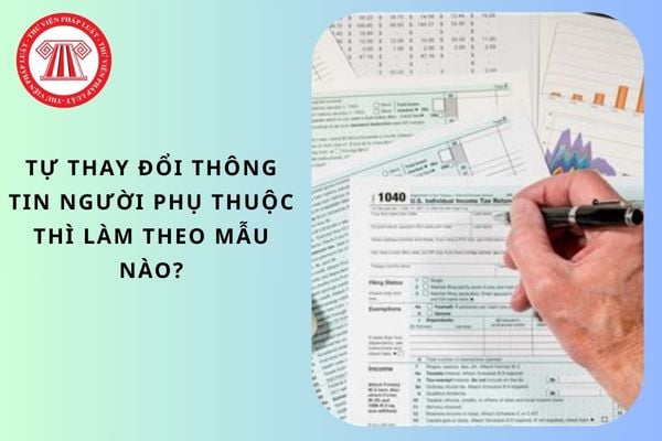 Pháp luật