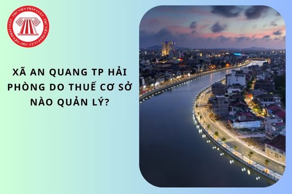 Pháp luật