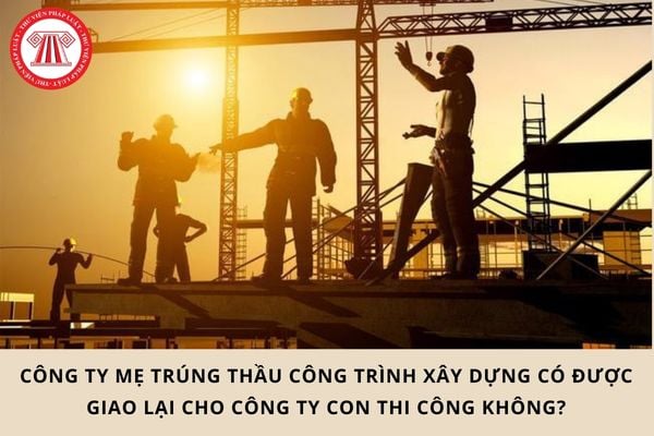 Pháp luật