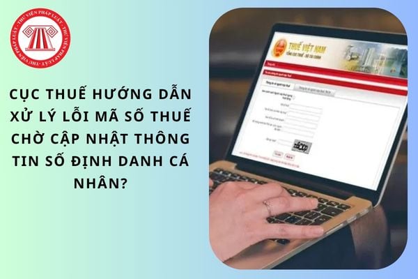 Pháp luật