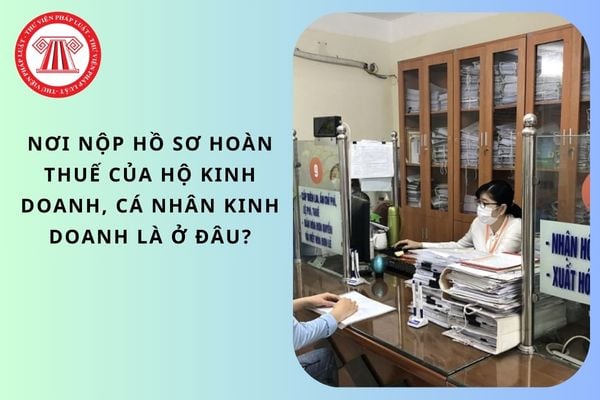 Pháp luật