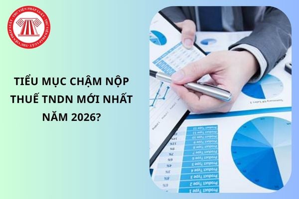 Tiểu mục chậm nộp thuế TNDN mới nhất năm 2026?