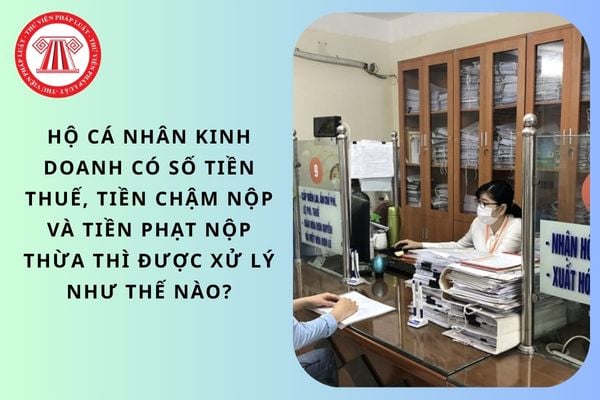 Pháp luật