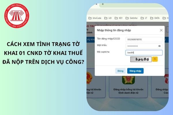 Pháp luật