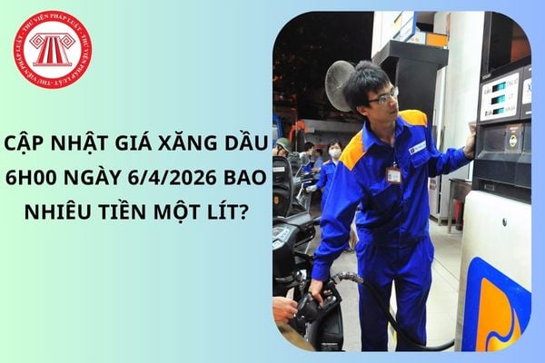 Pháp luật
