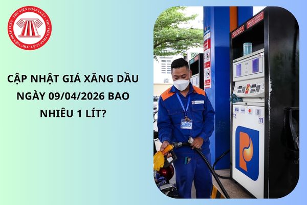 Pháp luật
