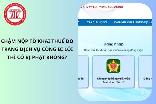 Pháp luật