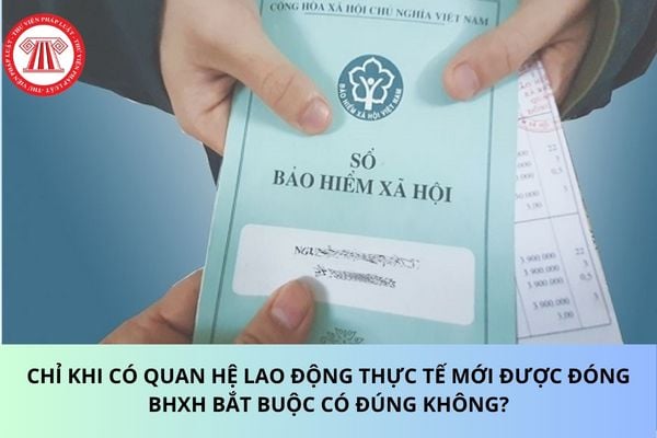 Chỉ khi có quan hệ lao động thực tế mới được đóng BHXH bắt buộc có đúng không?