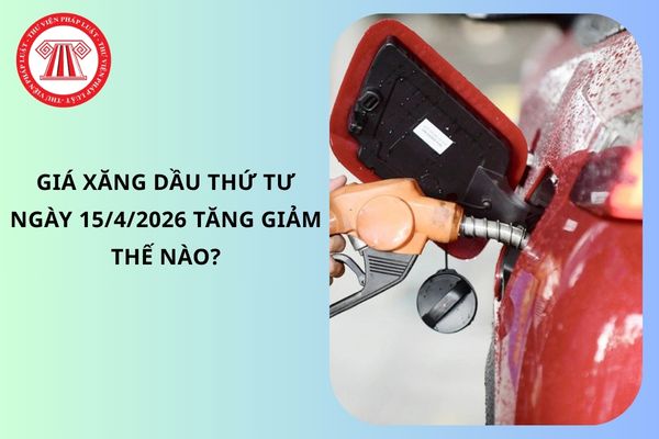 Pháp luật