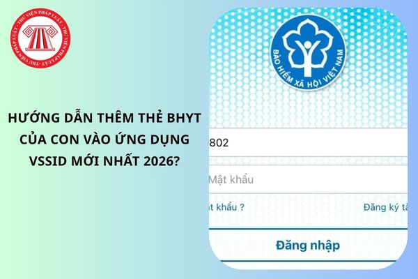 Pháp luật