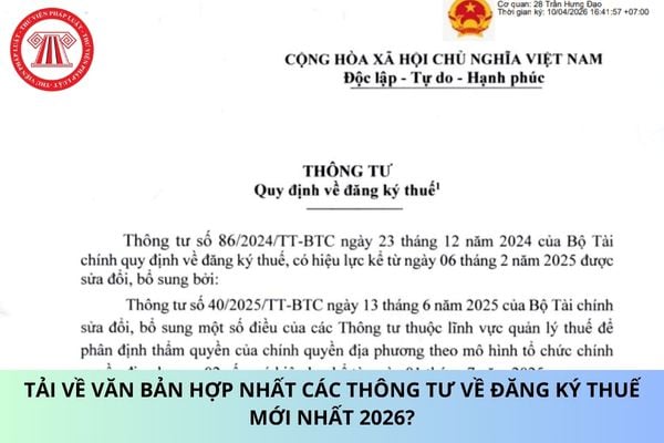 Pháp luật