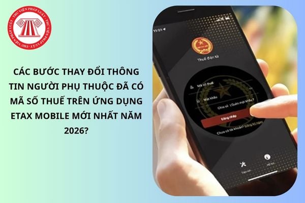 Pháp luật