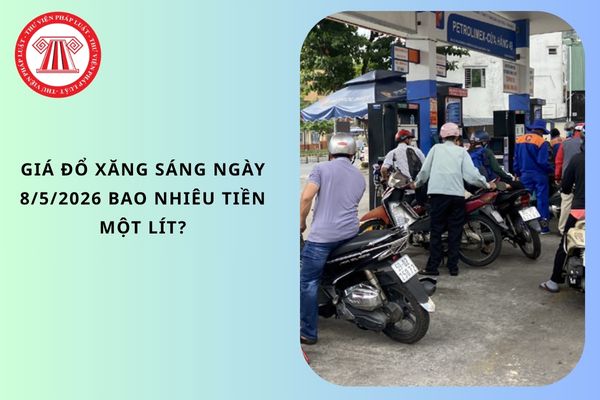 Pháp luật