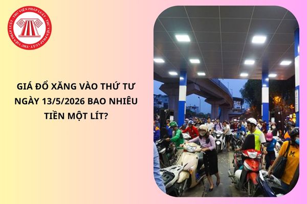 Pháp luật