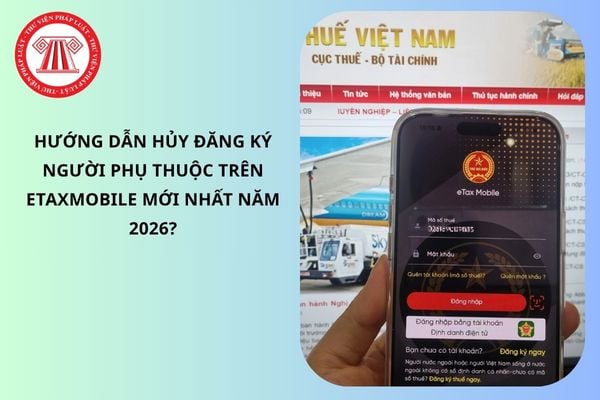 Pháp luật