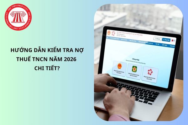 Pháp luật