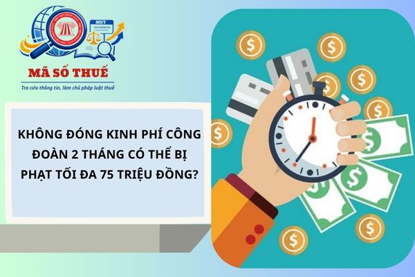 Pháp luật