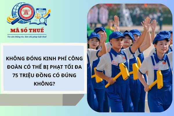 Pháp luật