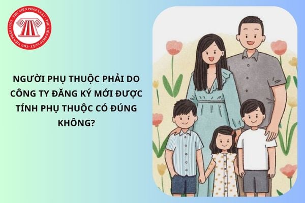 Pháp luật